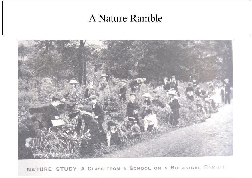 a Nature Ramble
